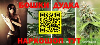 PSILOCYBIN Камышлов