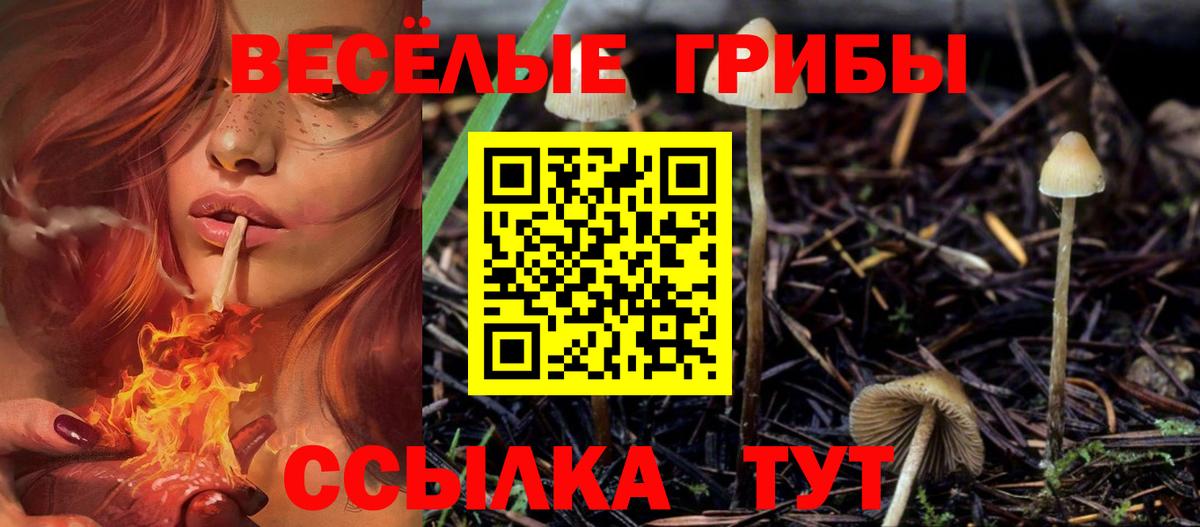Галлюциногенные грибы мухоморы Кузнецк